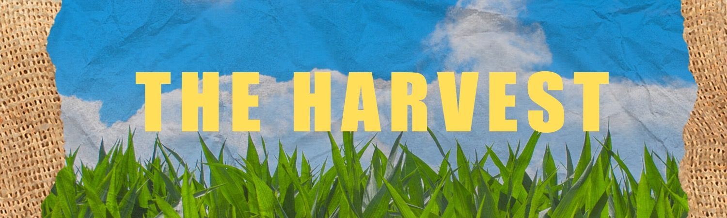 the harvest