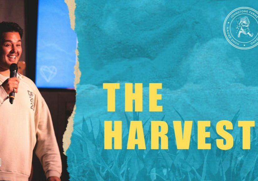 the harvest 2