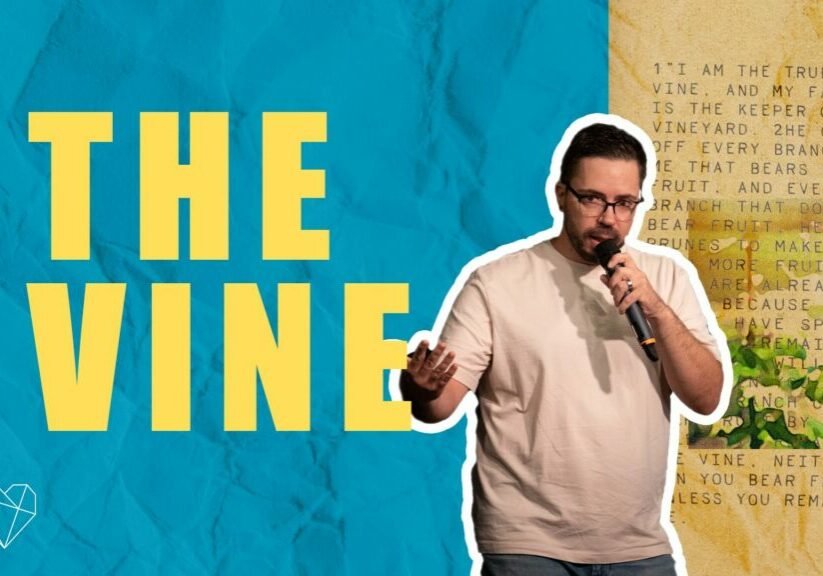 the vine